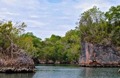Abenteuer von Miches: Los Haitises, Caño Hondo und Yanigua — Guided tour and outdoor activity