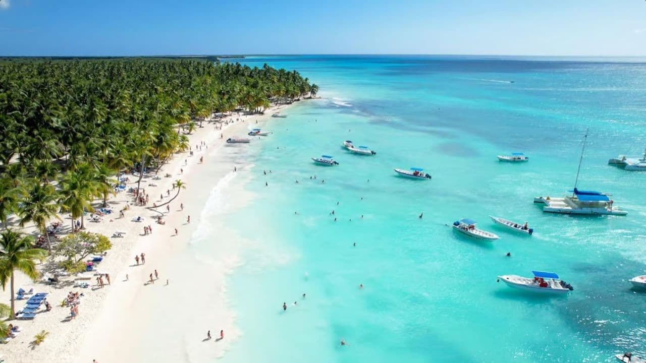 Von Punta Cana: Tagesausflug zur Insel Saona mit Mittagsbuffet — Guided tour and outdoor activity