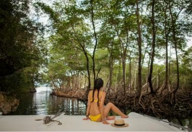 Los Haitises: Bootstour Sabana de la Mar, Höhlen und Mangroven — Guided tour and outdoor activity