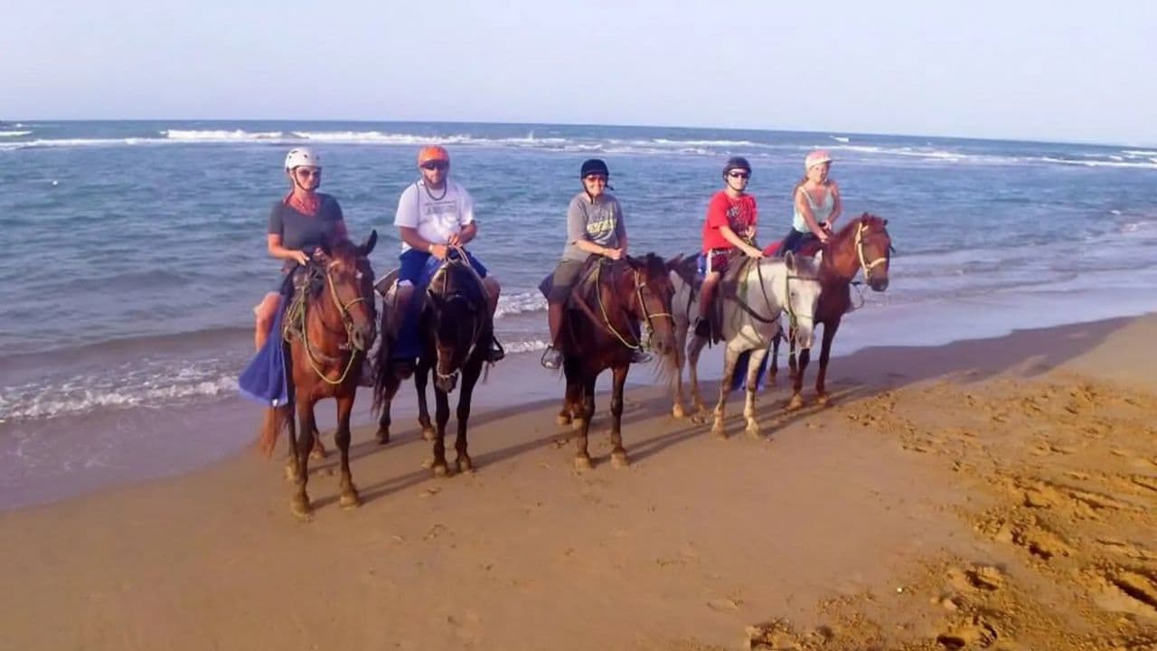 Puerto Plata: Reiten am Strand — Guided tour and outdoor activity