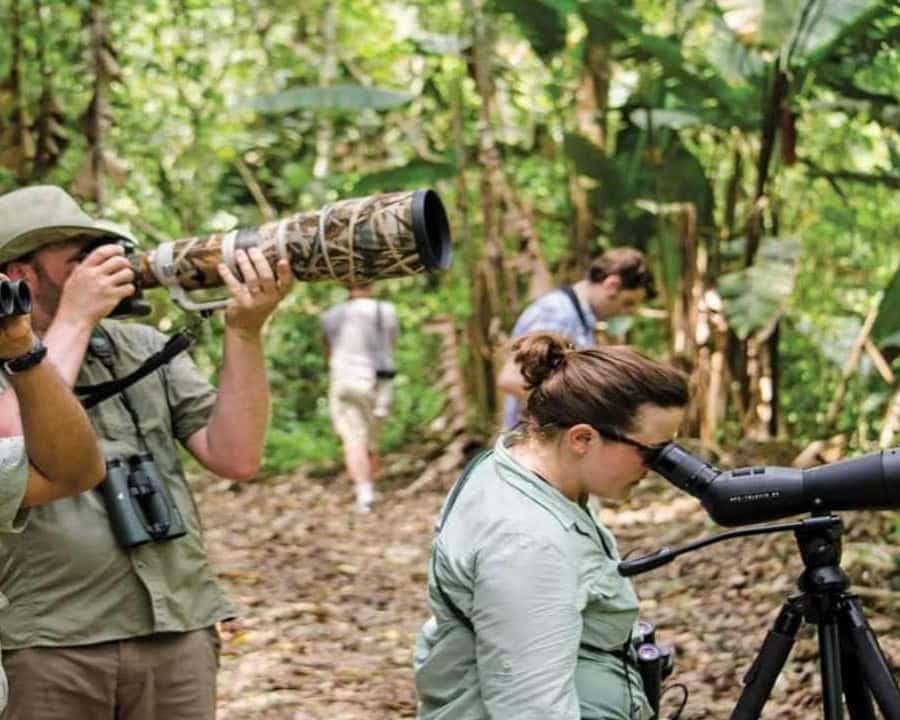 Bayahibe: Vogelbeobachtungstour mit Führer — Guided tour and outdoor activity