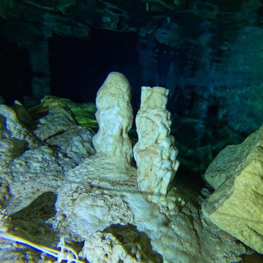 Punta Cana: Diving in Cavernes or Cenotes — Guided tour and outdoor activity