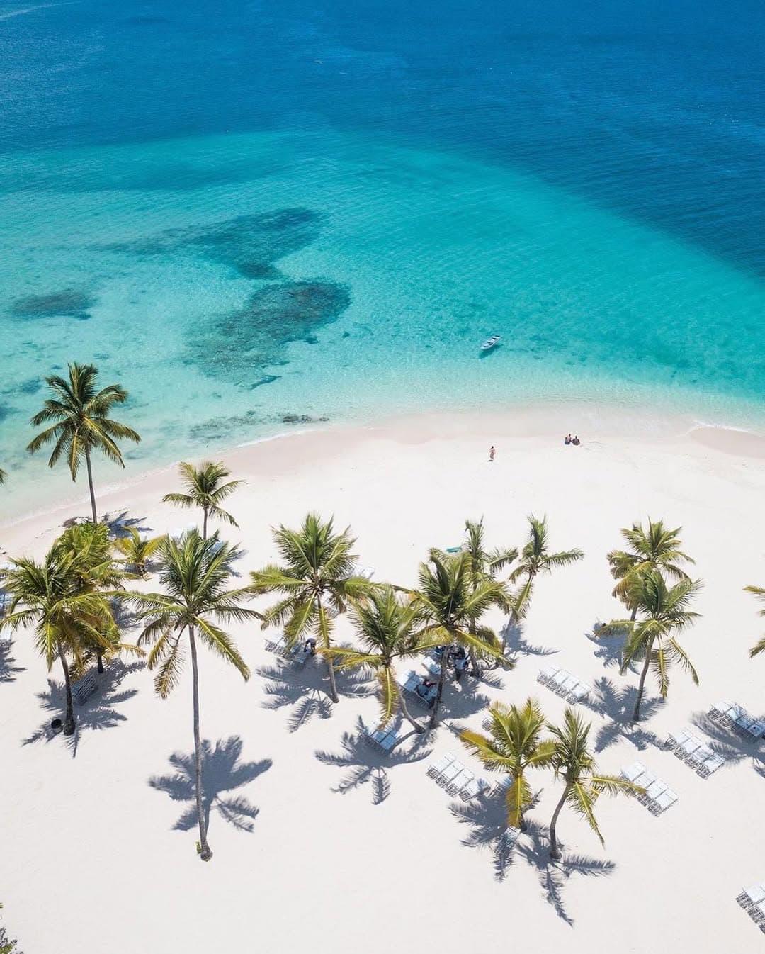 Samaná Cayo Levantado & El Limón Waterfall Self-Drive Tour — Guided tour and outdoor activity