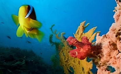Voller Eintritt und Transfer zum Wasserpark El Dorado ab Punta Cana — Guided tour and outdoor activity