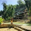 ⁦Day Pass Caño Hondo - Natural Pools & Lunch Included⁩ - الصورة ⁦2⁩