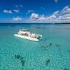 Saona Island Tour from Bayahibe - Natural Pool Excursion - Image 2