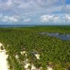 Saona Island Tour from Bayahibe - Natural Pool Excursion - Image 11