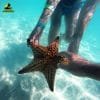 Saona Island Tour from Bayahibe - Natural Pool Excursion - Image 7