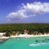 Saona Island Tour from Bayahibe - Natural Pool Excursion - Image 10