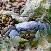 Los Haitises Excursión en Kayak 2 horas - Imagen 16