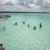 Four Adventures: Parasailing, Snorkeling Cruise, Sharks & Rays in Natural Pools from Punta Cana - Image 12