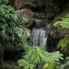 El Limon Waterfall and Bacardi Island (Cayo Levantado) Tour from Punta Cana Hotels - Imagen 13