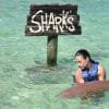 Four Adventures: Parasailing, Snorkeling Cruise, Sharks & Rays in Natural Pools from Punta Cana - Image 11