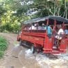 El Limon Waterfall and Bacardi Island (Cayo Levantado) Tour from Punta Cana Hotels - Imagen 8