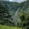 Salto de la Jalda National Park- The highest Waterfall in The Caribbean 272 feet - تصویر 15