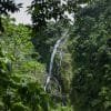 Salto de la Jalda National Park- The highest Waterfall in The Caribbean 272 feet - تصویر 18