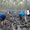 Mangroves Reforestation in Los Haitises With Locals on Kayak - imagine 27