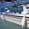 Saona Island Rentals - Rent a private boat - Image 2