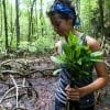 Mangroves Reforestation in Los Haitises With Locals on Kayak - imagine 26