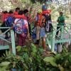 Mangroves Reforestation in Los Haitises With Locals on Kayak - imagine 30