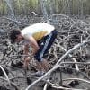 Mangroves Reforestation in Los Haitises With Locals on Kayak - imagine 31