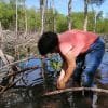 Mangroves Reforestation in Los Haitises With Locals on Kayak - imagine 28