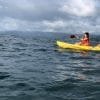 Cayo Levantado & Kayaking + Snorkeling - Image 21