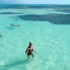 Saona Island Private Tour from La Romana Hotels- La Romana Lobby - Image 21