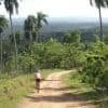 Los Haitises Taino's Canoe + Mountain Bike Tour - Imagen 27