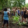 Mangroves Reforestation in Los Haitises With Locals on Kayak - imagine 22